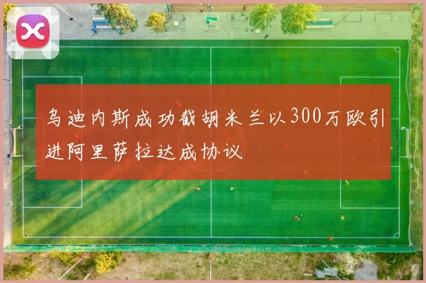 乌迪内斯成功截胡米兰以300万欧引进阿里萨拉达成协议