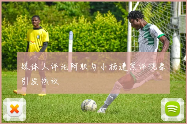 媒体人评论阿联与小杨遭黑评现象引发热议