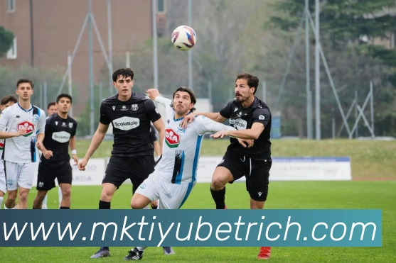 MK体育APP 高清赛事图